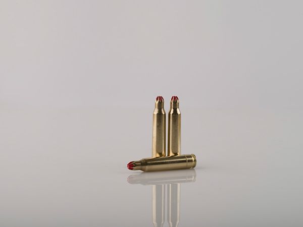 7,62 x 54 R (A-392/A-374)