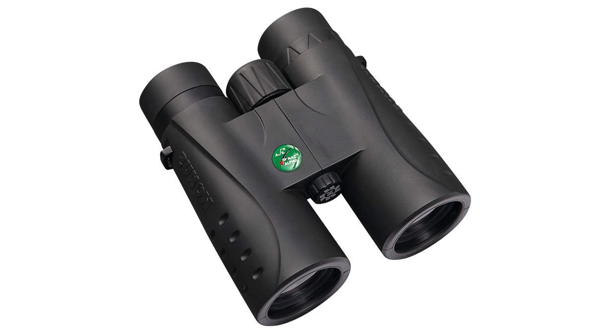ALPINO 10x42